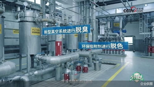 央視網(wǎng)走進(jìn)多力安心工廠 探尋降低油煙技術(shù)專利奧秘，見證健康廚房技術(shù)推廣